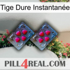 Tige Dure Instantanée 14